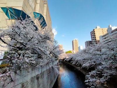Brillia City Nishiwaseda 사진 2