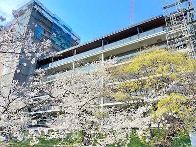 Brillia City Nishiwaseda 사진 4