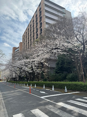 Tōdai-Byōin (The University Of Tokyo Hp. ) 사진 2