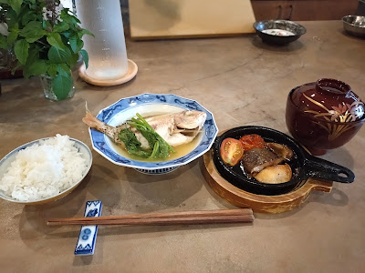 気生根 사진 5