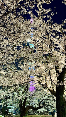 Sumida Park 사진 4