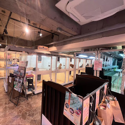 かわいいいきものたち PET SHOP 사진 2