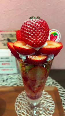 후르츠 스기 사진 2