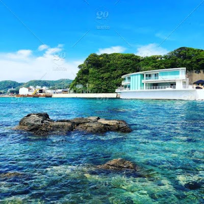 キッチンカーbluegreen 사진 3