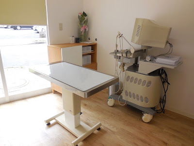Hikaru Animal Clinic 사진 4