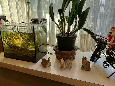 喫茶あろーす 사진 5