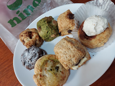nino scone 사진 3