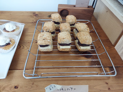 nino scone 사진 4