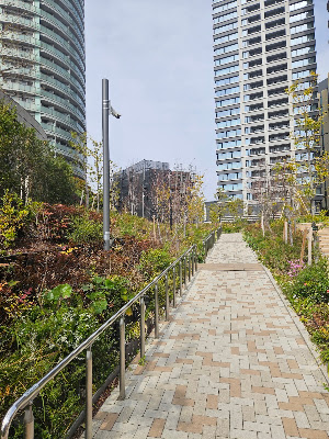 Yuhi Park 사진 2