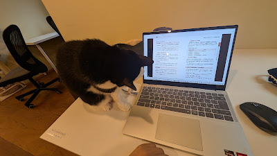 いいオフィス 三軒茶屋 by猫が邪魔するSANCHACO 사진 3