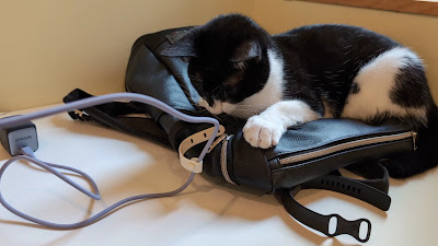 いいオフィス 三軒茶屋 by猫が邪魔するSANCHACO 사진 5