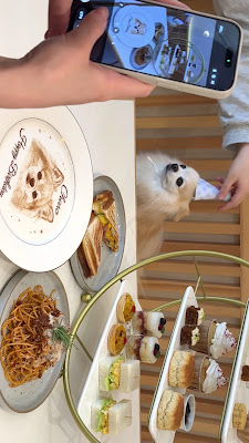 Petcook 〈ペットクック〉 사진 3