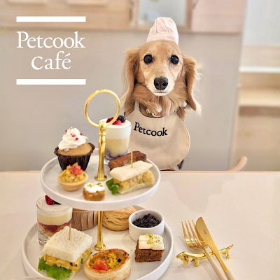 Petcook 〈ペットクック〉 사진 5