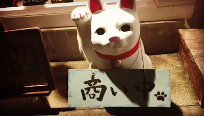 Shibuneko Ryukyu Dosanko 사진 2