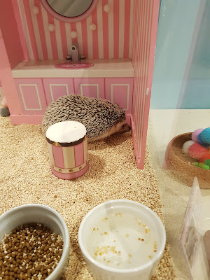 Chiku Chiku Cafe 사진 3