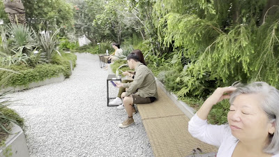 HARAJUKU KITCHEN & TERRACE 사진 2