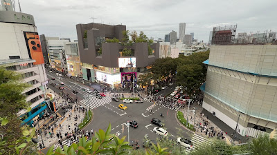 HARAJUKU KITCHEN & TERRACE 사진 3