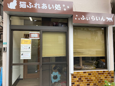 猫ふれあい処 ふぃらいん 사진 2