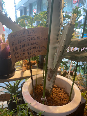 花舎 fleurir 사진 3
