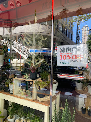 花舎 fleurir 사진 2