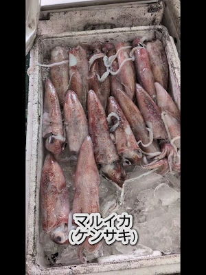 和食居酒屋 旬魚旨酒の國 和神 赤坂 사진 2
