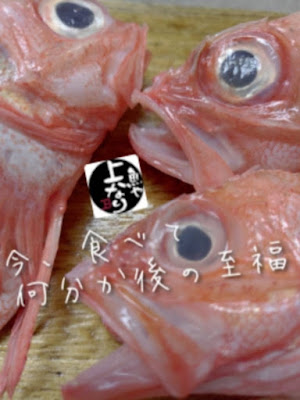 魚や 上なり 사진 2