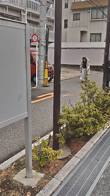 Nakashin Hiroba 사진 2
