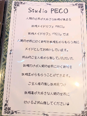 Studio PECO #秋葉原コンカフェ 사진 4