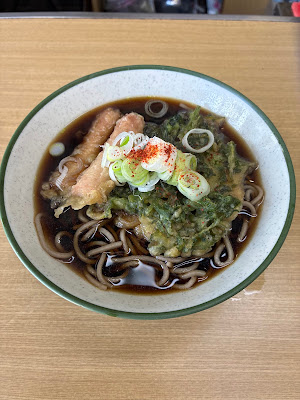 Fujita 사진 3