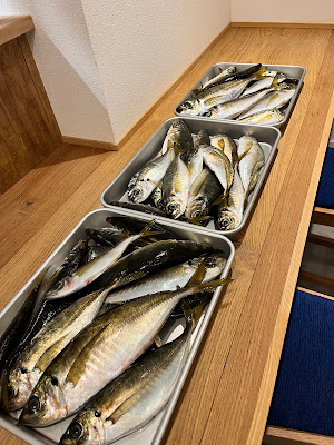 アジフライ食堂 もりいえ 사진 3