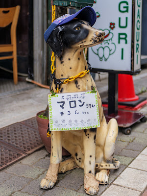 いがぐり 사진 3
