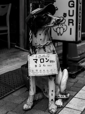 いがぐり 사진 5