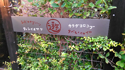 遊 사진 4