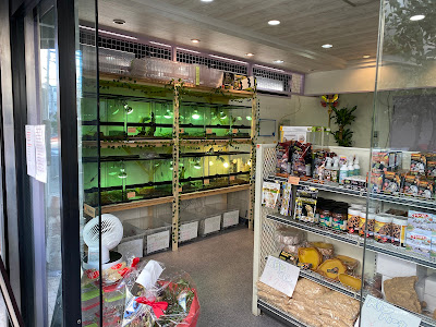 Reptile Planet 사진 2