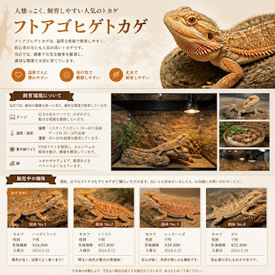 Reptile Planet 사진 3