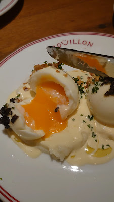 Bouillon Hongo 3 사진 2