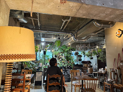観葉植物店anvers Blucca 사진 2