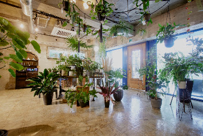 観葉植物店anvers Blucca 사진 4