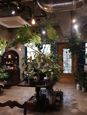 観葉植物店anvers Blucca 사진 3