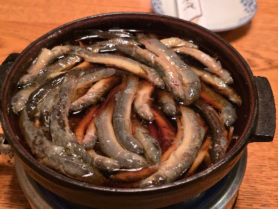 도제우 히라이 사진 5