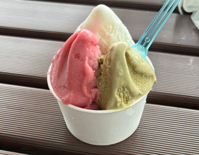 CAMPO SOLARE 사진 4