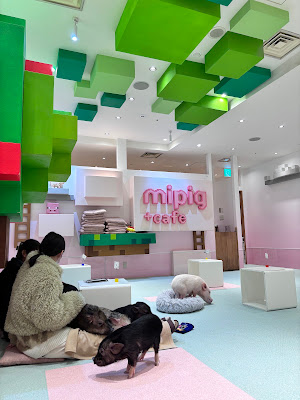 mipig+cafe 사진 3
