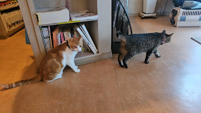 Sakuradai Animal Clinic 사진 2