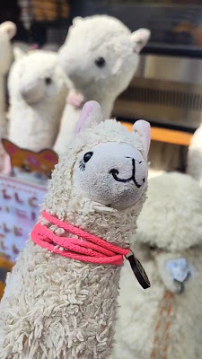 Alpaca tea house 사진 2