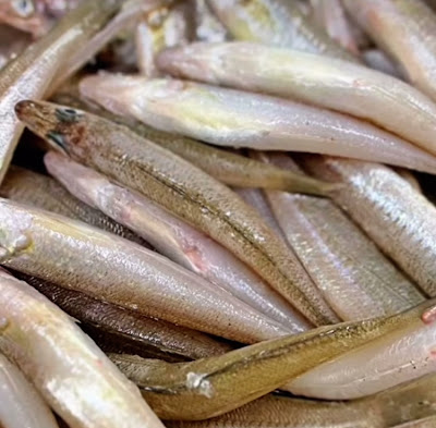 彩魚処 海と月 사진 2