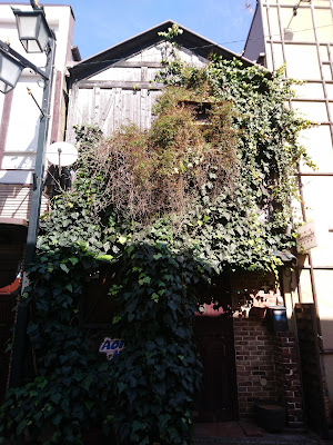 Gü ぐぅ 사진 2