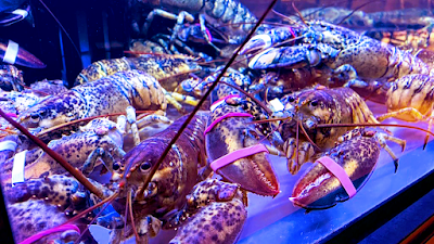 THE GALLEY SEAFOOD & GRILL 사진 3