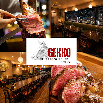 Gekko 사진 3