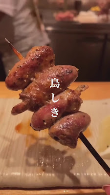 토리시키 사진 2