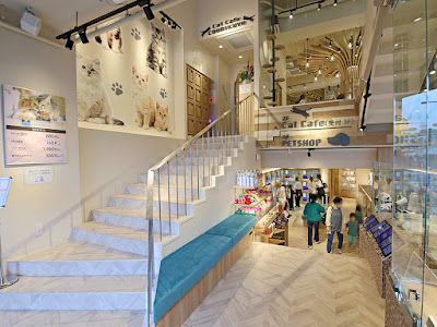 Coo & RIKU Sangenjayaten Kuriku Pet Shop 사진 3